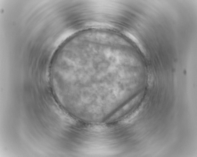 X0000088851074200706221654