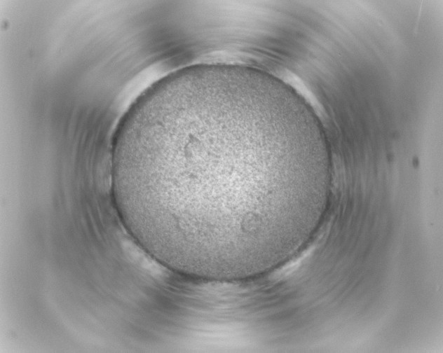 X0000088851075200706221654