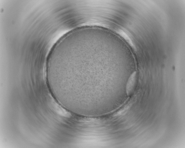 X0000088851076200706221654