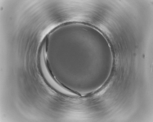 X0000088851077200706221654