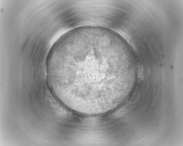 X0000088851078200706221654