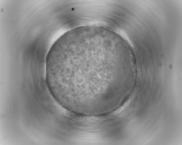 X0000088851079200706221654