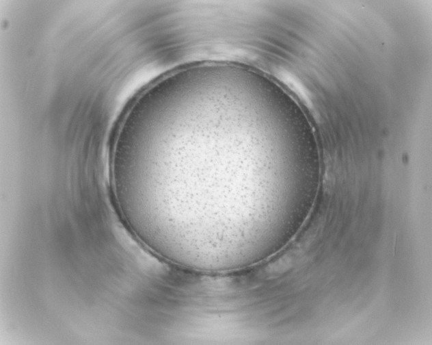 X0000088851080200706221654