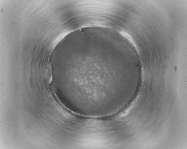 X0000088851081200706221654