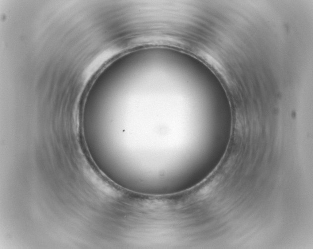 X0000088851082200706221654