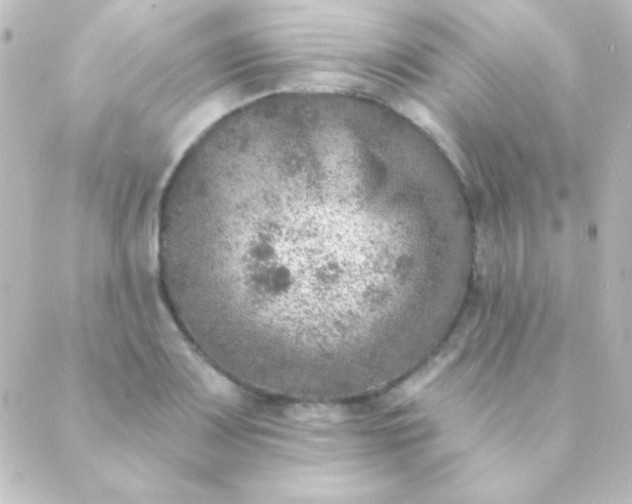 X0000088851083200706221654