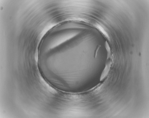 X0000088851084200706221654