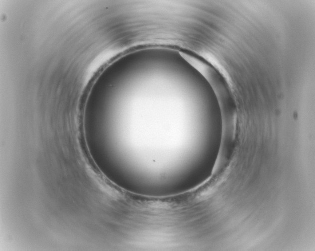 X0000088851085200706221654