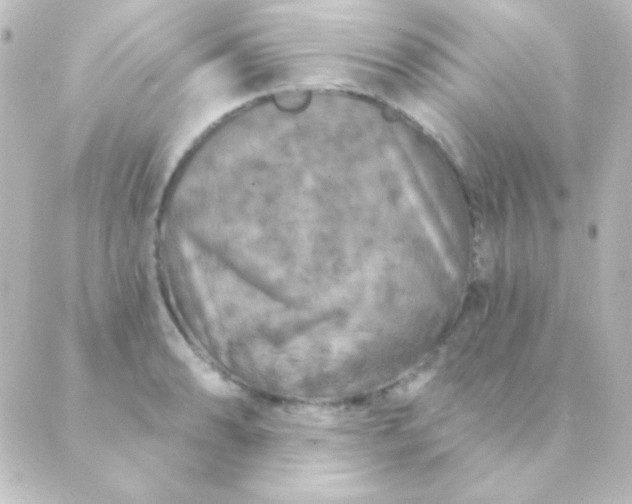 X0000088851086200706221654