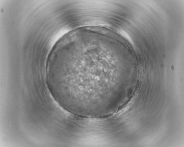 X0000088851087200706221654