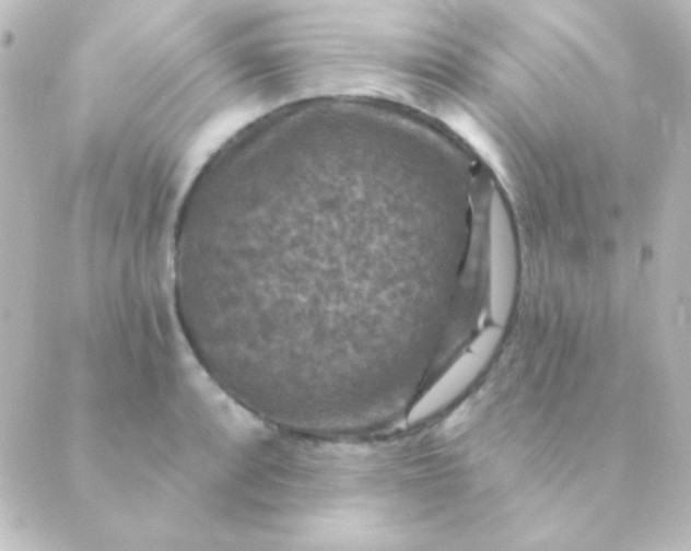 X0000088851088200706221654