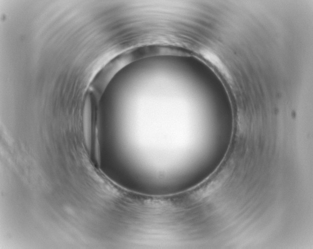 X0000088851089200706221654