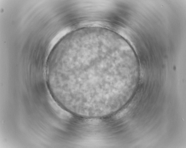 X0000088851090200706221654