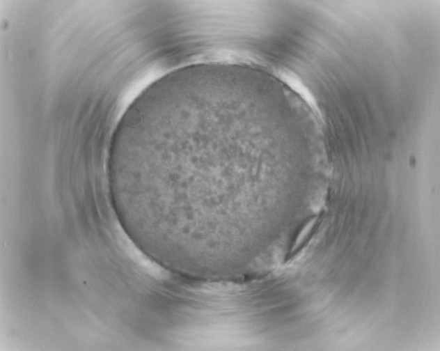 X0000088851091200706221654