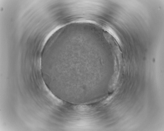 X0000088851092200706221654