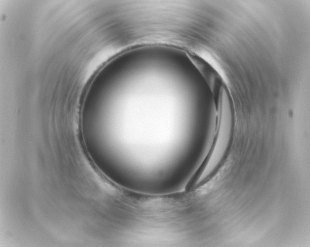 X0000088851093200706221654