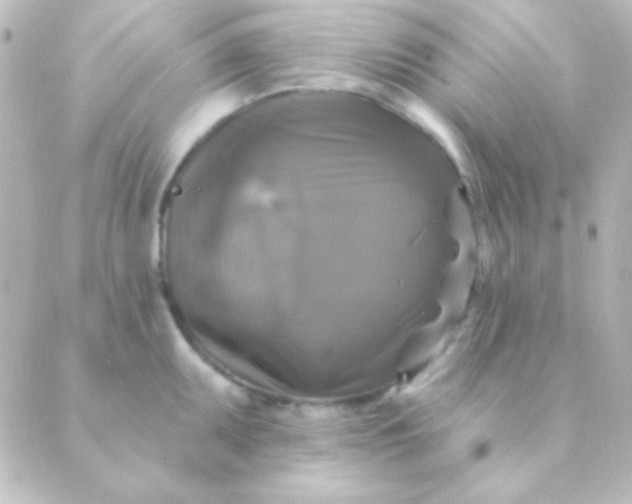 X0000088851095200706221654