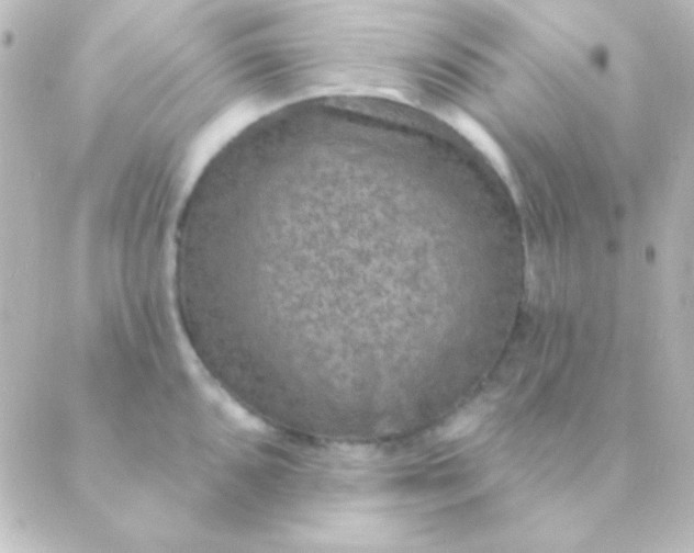 X0000088851096200706221654