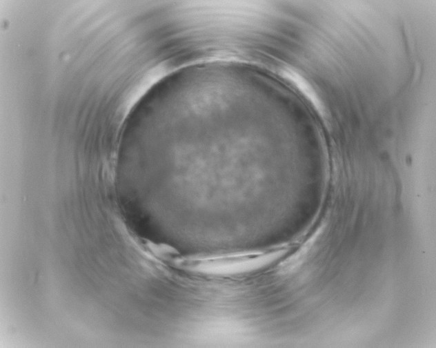 X0000088851097200706221654