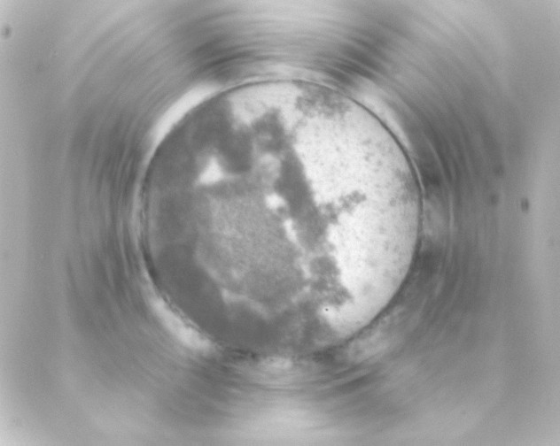 X0000088851098200706221654