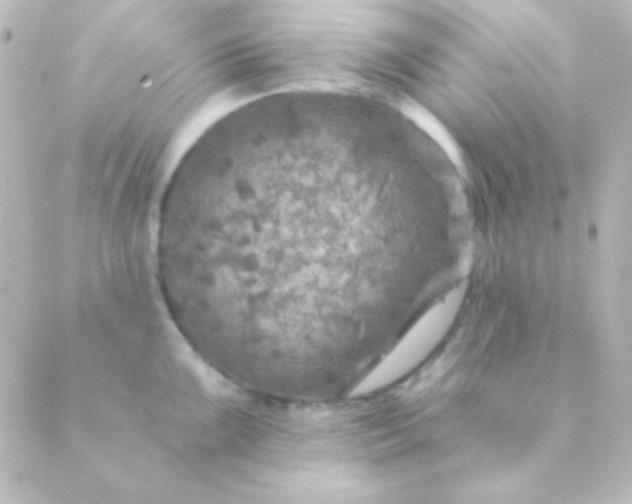 X0000088851099200706221654