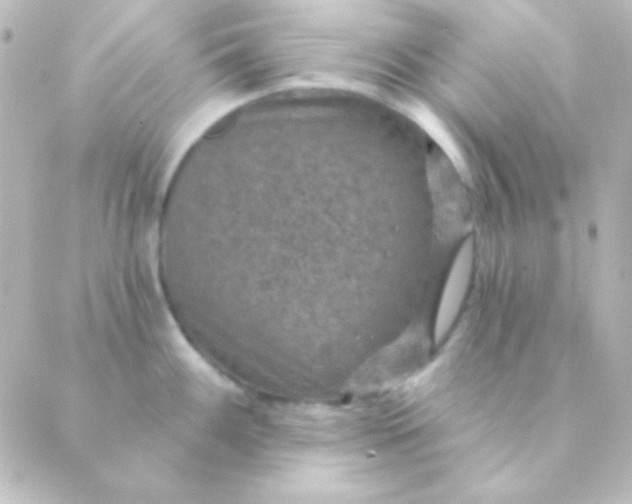 X0000088851100200706221654