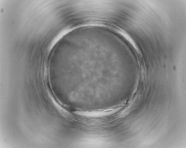 X0000088851101200706221654