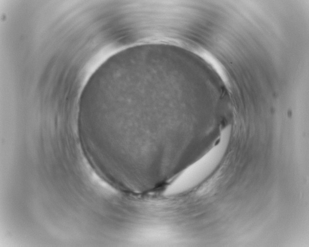 X0000088851102200706221654