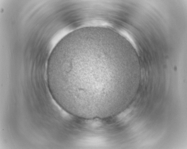 X0000088851103200706221654