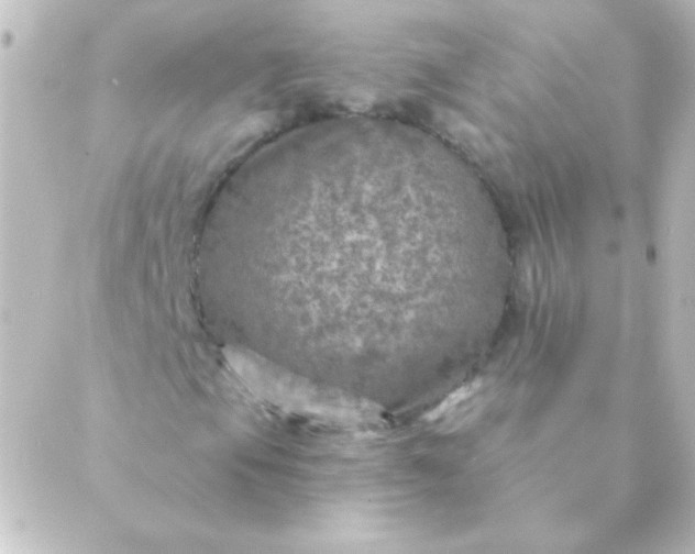 X0000088851105200706221653