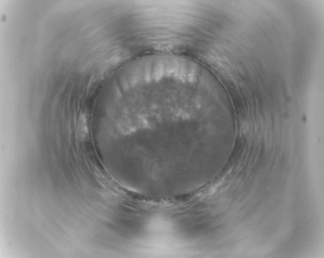 X0000088851106200706221653