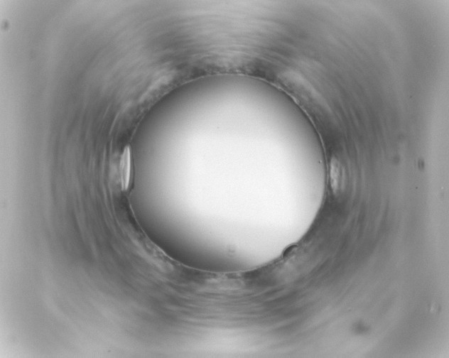 X0000088851107200706221653