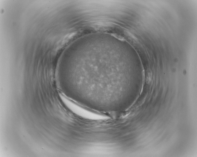 X0000088851108200706221653