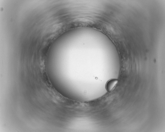 X0000088851109200706221653