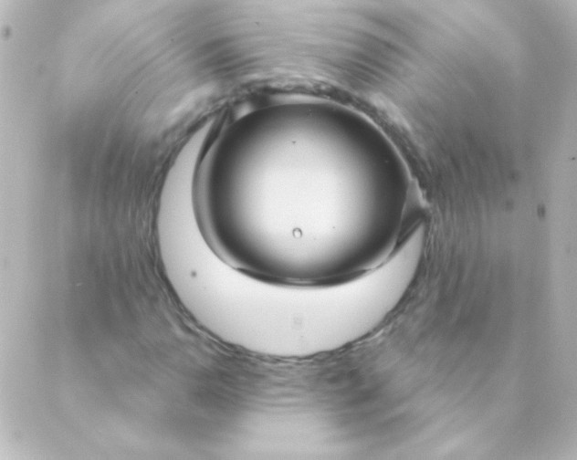 X0000088851110200706221653