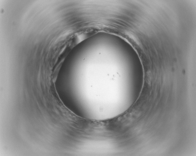 X0000088851111200706221653