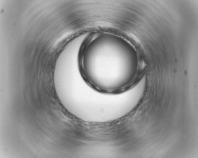 X0000088851112200706221653