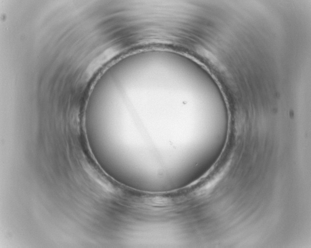 X0000088851113200706221653