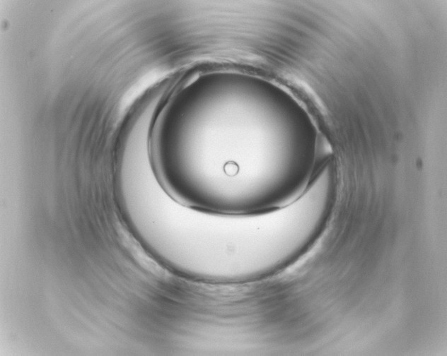 X0000088851114200706221653