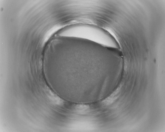 X0000088851115200706221653