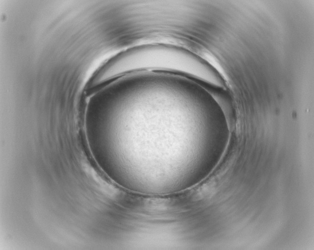 X0000088851116200706221653