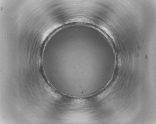 X0000088851117200706221653