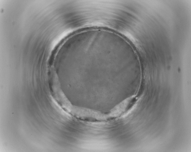 X0000088851118200706221653