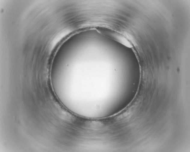 X0000088851119200706221653