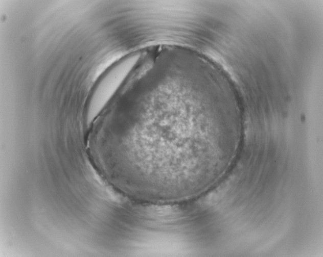 X0000088851121200706221653