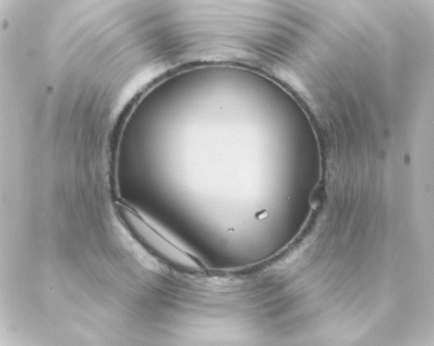 X0000088851122200706221653