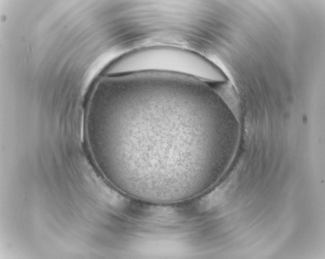 X0000088851123200706221653