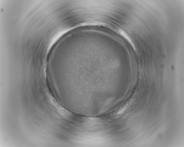 X0000088851124200706221653