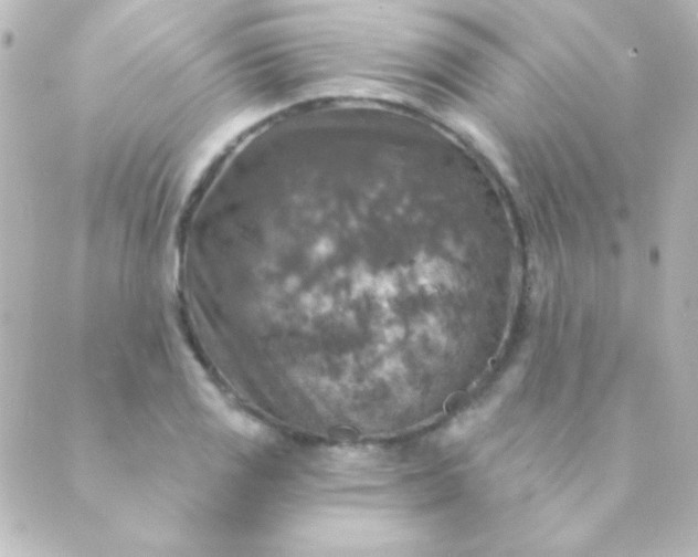 X0000088851125200706221653