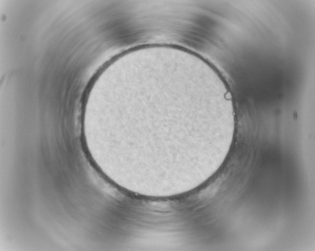 X0000088851126200706221653